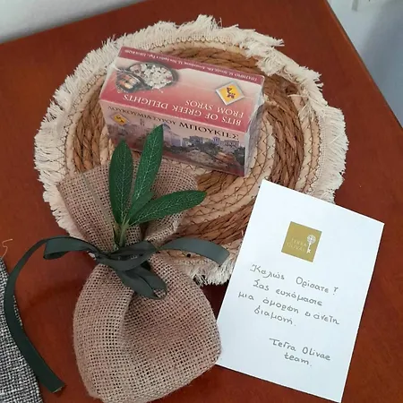 Terra Olivae Syros Lejlighed *