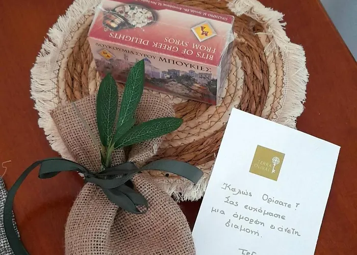 Terra Olivae Syros Daire *